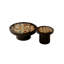 Ensemble de tables basses Modern