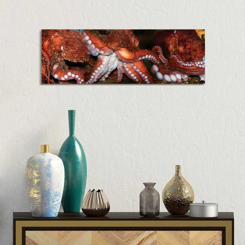 Close-Up Of Octopus by Panoramic Images - Panoramic Gallery-Wrapped Canvas Giclée on Canvas, No Frame