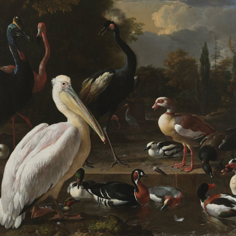 The Floating Feather Print by Melchior D'Hondecoeter