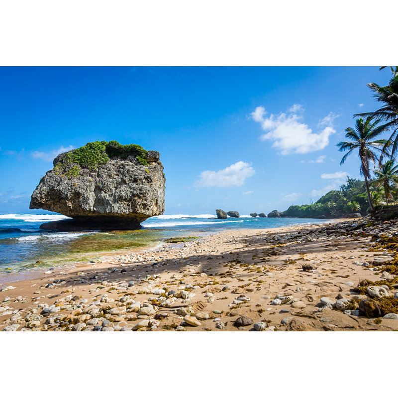 Bathsheba Beach, Barbados by Chris LaBasco - Wrapped Canvas Print, 20cm H x 30cm W