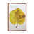 Classic Wood Framed selected