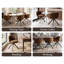 48cm H Upholstered Side Chair-1816254283-1816254285