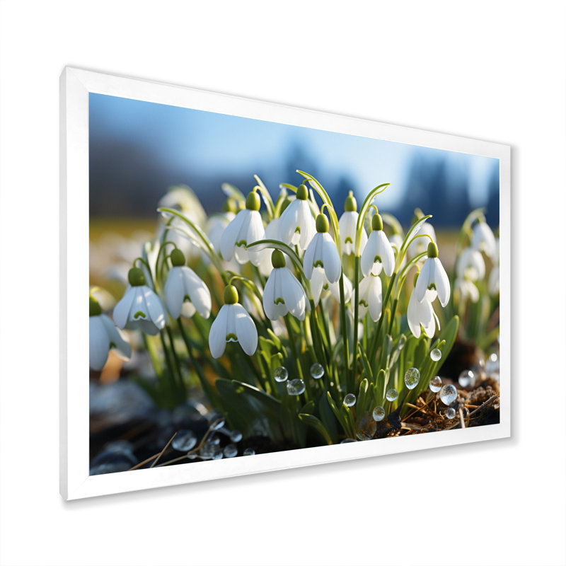 White Green Snowdrops Field III - Floral Wall Decor, H 12 po x l 20 po x P 1 po, Cadre photo blanc