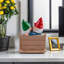 Statue de gnome de jardin Kiss Kiss