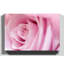 Flower Pink Rose Photographic - Wrapped Canvas-19041272