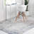 Indoor Rug-891411342