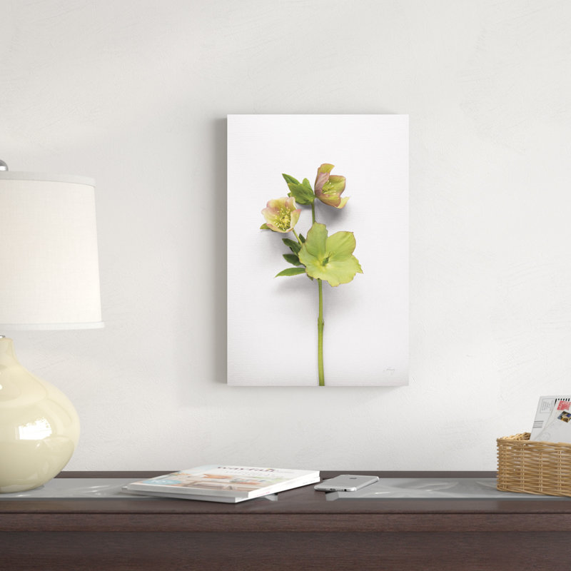 " Hellebore Study I " by Felicity Bradley, 18" H x 12" W x 1.25" D