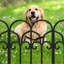 ELEP Black Metal Pet Barrier