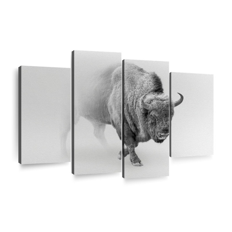 Wild Bison Wall Art, reproduction d'art sur toile, H 22 po x l 36 po x P 1 po