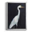 Calm Great Egret II - impression d'un seul cadre photo-1357522963-1357522965