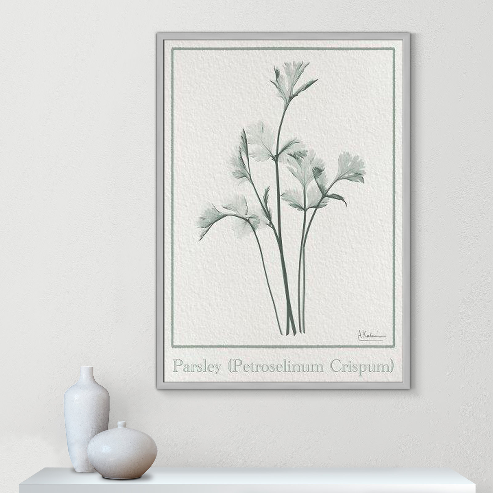 Jeanette "Parsley II" Print by Albert Koetsier, Matte Silver Framed Paper, 41.5" H x 29.5" W x 1.25" D