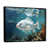 Black Floater Framed