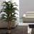 60" Artificial Palm Tree in Planter Set-1621122891