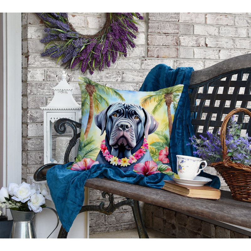 Other/No Pattern Outdoor Throw Pillow, 18" H x 18" W