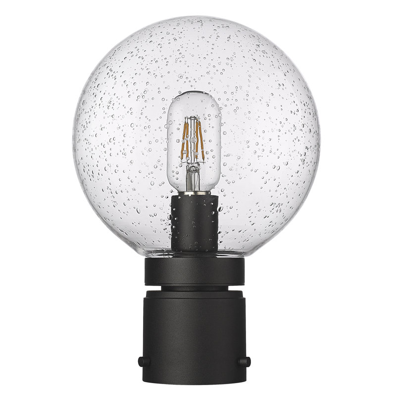 Krenselewski Lantern Head, Seeded