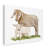 Canvas Art-31882957