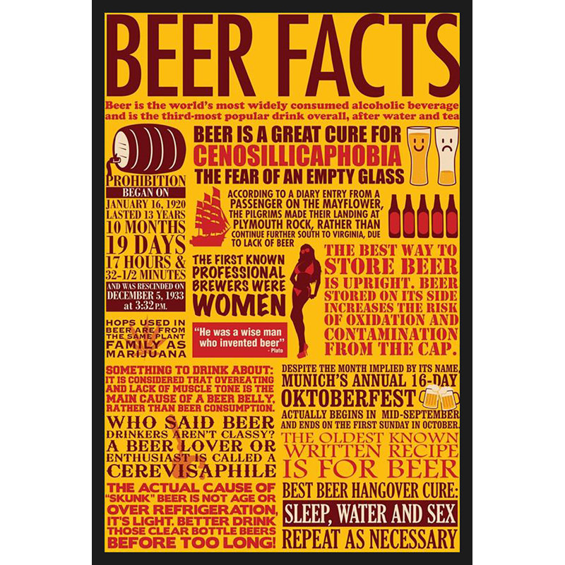 «Beer Facts» - Cadre photo, impression d'art textuel sur papier