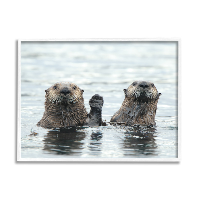 «Ba-398-Peeking Otters In Water» encadré sur bois par Donna Bourdon, Giclée encadrée blanc bord de mer