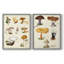 Champignon VI - reproduction encadrée de qualité supérieure - prêt à être accroché - aucun clou requis - aucun clou requis-1077715030-1077715035