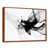 Brown Floater Framed Canvas