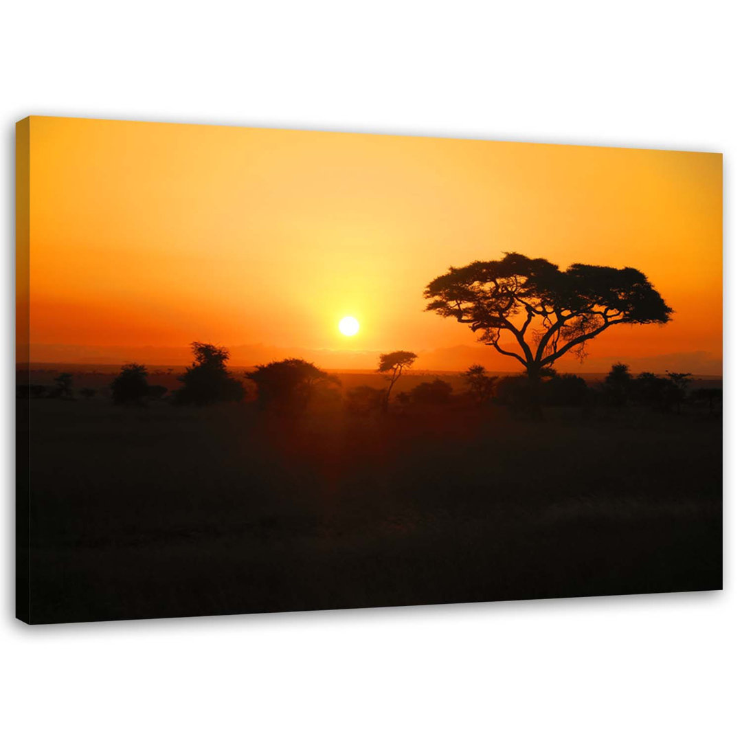 Leinwandbild African sunset