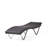 Leyt Outdoor Chaise Lounge Set-28208496