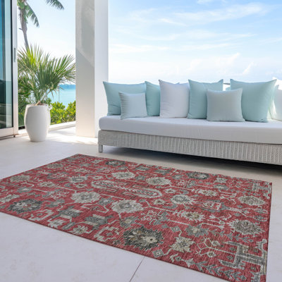 Myda Flatweave Washable Oriental Indoor / Outdoor Rug