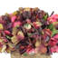 Fall Hydrangea Floral Arrangement-1469065100
