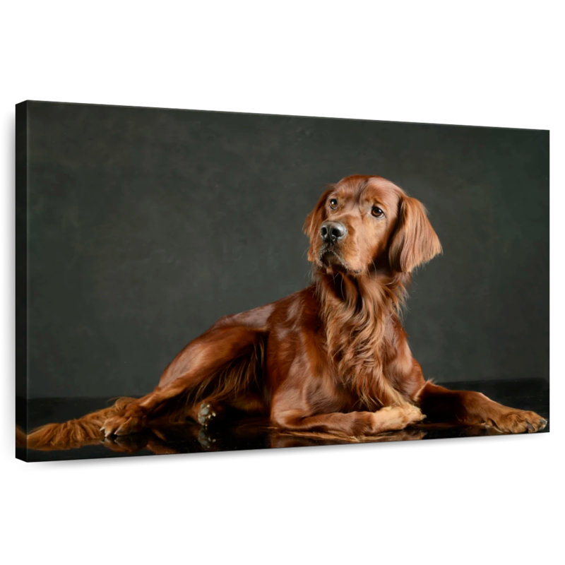 Loyal Irish Setter, 8" H x 12" W