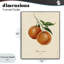 «Orange Fruit Portrait», estampe numérique, design par Danielle Murray-2130125534-2130125529