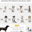 Poussette pliable pour chien de taille moyenne, 3 grandes roues, auvent réglable, harnais, bac de rangement, poussette pour chien de petite à moyenne taille bleue, pliable, panier,
