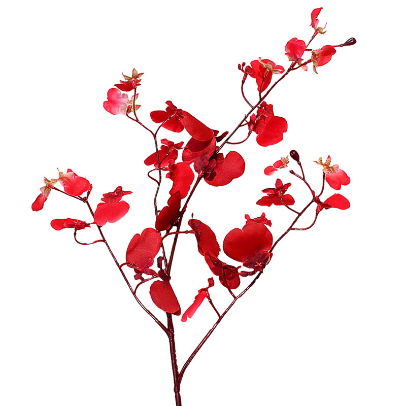 Orchid Arrangement, Red