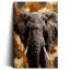 Éléphant d'Afrique moderne texturé sur toile 36 x 24 pouces - décoration de salon-776152469