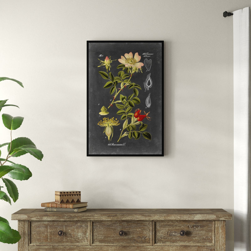 " Midnight Botanical I " by Vision Studio, 36" H x 24" W, Wrapped Canvas