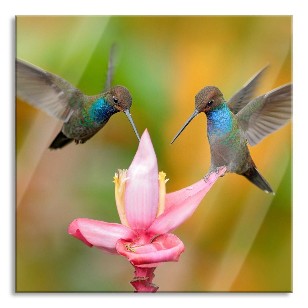 Ungerahmtes Foto auf Glas "Two Hummingbirds"