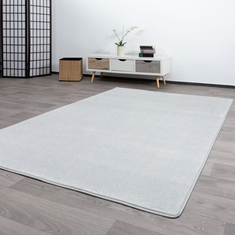 Herfried Solid Colour Machine Woven Machine Tufted Area Rug, Rectangular 80 x 150cm