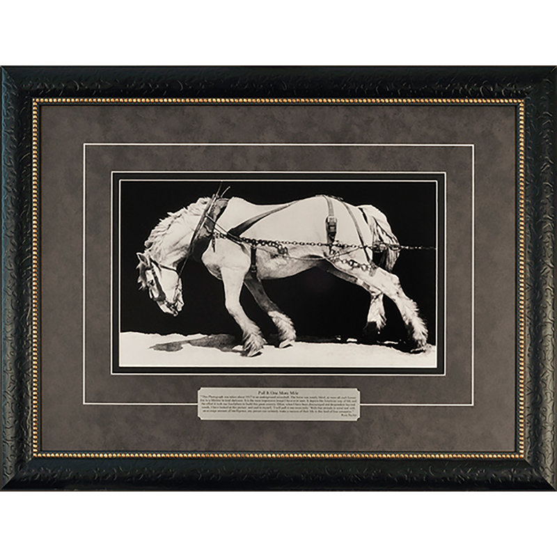 «Rocky Mountain Pull It One More Mile» par Ross Taylor, reproduction d'art sur toile encadrée