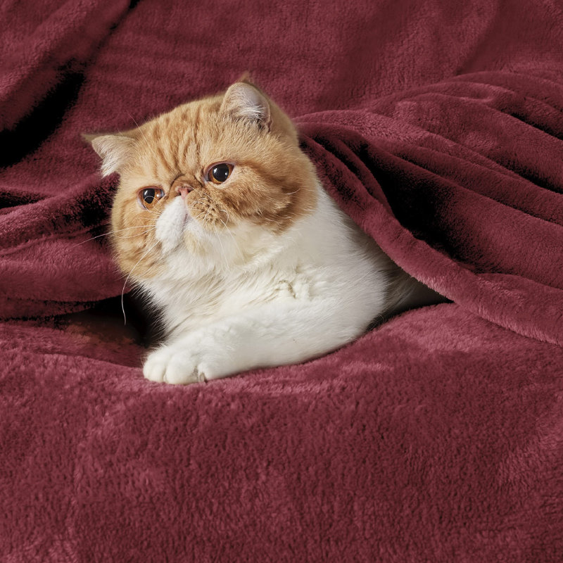 Bedsure Soft Fluffy Fleece Throw Blanket for Sofas&Beds, 270cm x 230cm, Quiet Shade