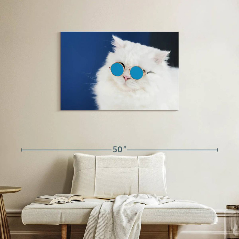 Verres à chat Brampt, H 24 po x l 36 po