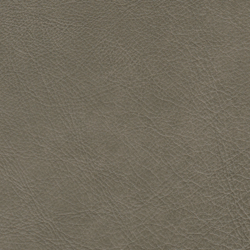 Ensemble de salon en cuir véritable 2 pièces Starisha, Cuir véritable gris