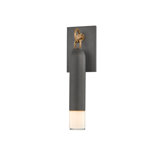 Osprey Wall Sconce