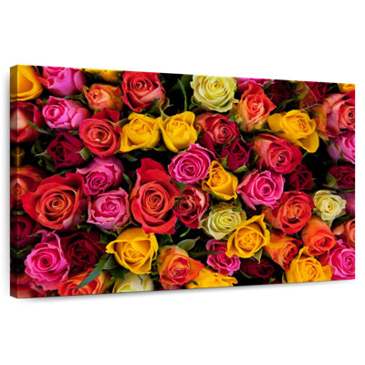 Harnek nuances de roses