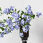 Garden Garden - 34 po-654920105-654920106