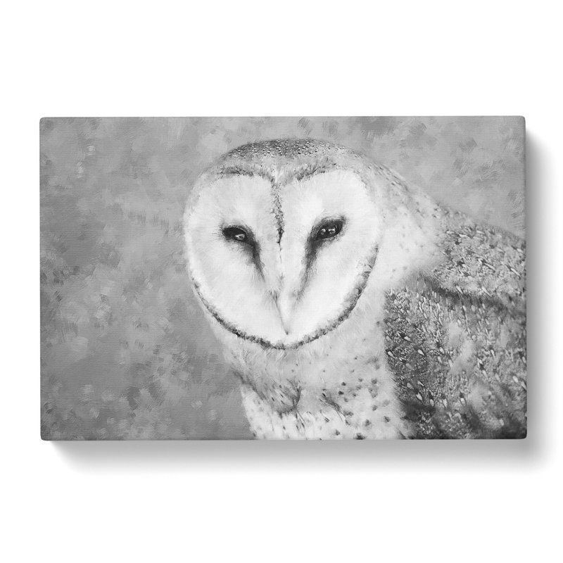 Barn Owl - Wrapped Canvas Painting, 40cm H x 60cm W x 3cm D