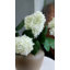 Real Touch Peach Mauve Peony 20.5"-1895609228