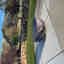 Photos des clients 2 de 2