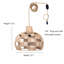 Luminaire suspendu en rotin à 1 lumière Adamsburg
