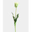Perroquet citron tulipe Real Touch 27 po-287527661