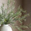 Arrangement