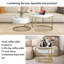 Adeliah Frame Coffee Table with Storage-1639450618
